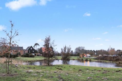Duck Pond