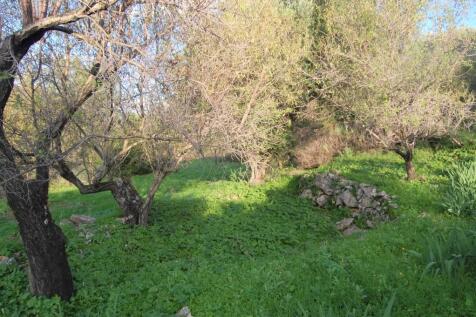 Landscape &amp; terrain