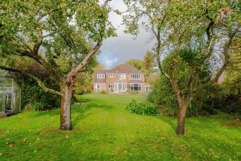 Property Image 26