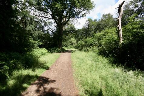 Black Park