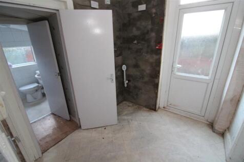 IMG 7531  Medium  T202512231048.jpg