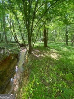 Property Image 69