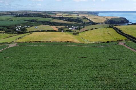 dji_fly_20250709_154424_342_1752073105267_photo_op