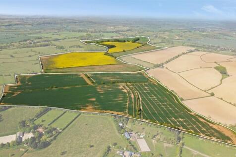 1. Main - White Line.jpg