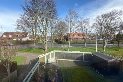 Garden from window