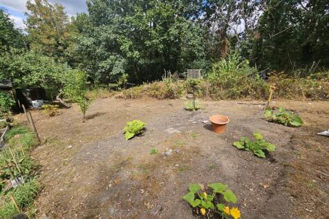 Allotment.jpg