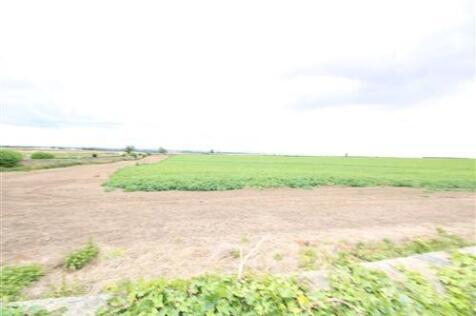 P000607L.jpg