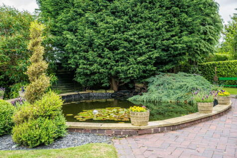 Property Image 55