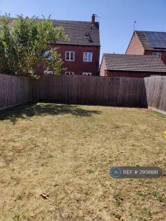 Back Garden