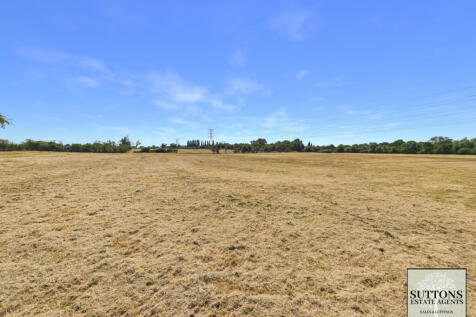 Field behind the house