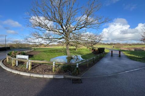Close to 24 acres of nature in Ashridge Meadows