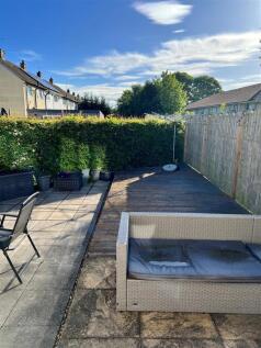 Back yard. - Copy.jpg