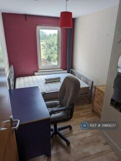 Room 4