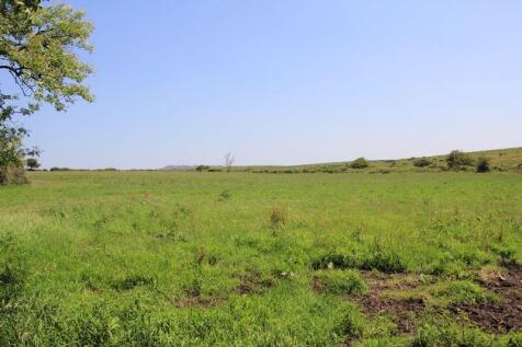 Meadow
