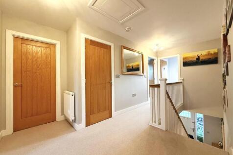 thumbnail_image3 (2).jpg