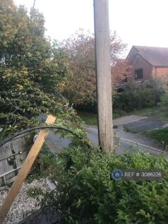 View From Bedroom