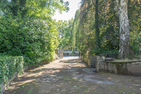 20260612-DSC09943...