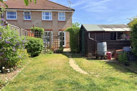 Garden Pic 3