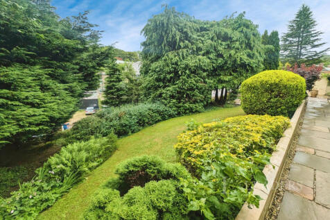 Garden 3