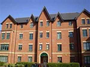 114hadfield1.jpg