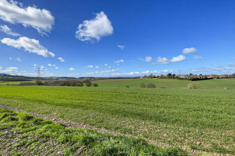 Plot 3 Green Crize - View