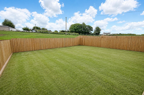 garden 7.png