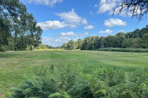 IMG-20250805-WA00...