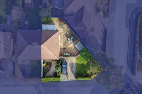 Drone Above.jpg