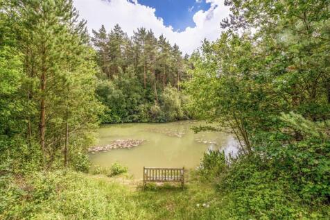 Piccadilly Wood -11.jpg