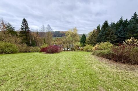 qoM1z2JSRUWU6L79h_toTA 2.jpg