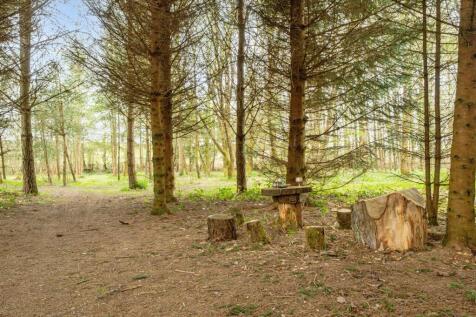 Woodland