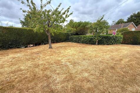 Garden.jpg