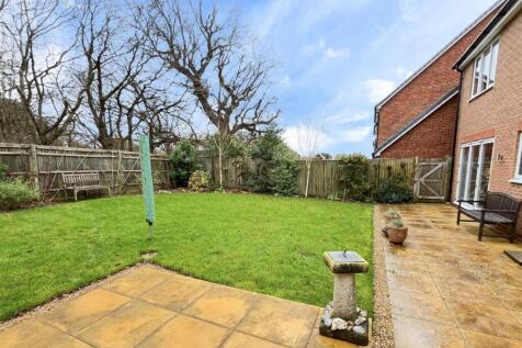 4-Untitled design (8).jpg