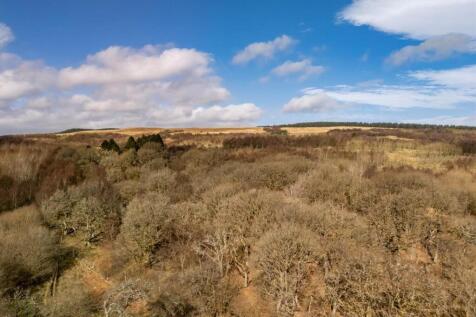 DJI_20260317112630_0245_D (1).jpg