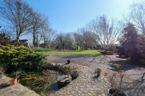 Rear Garden With Pond