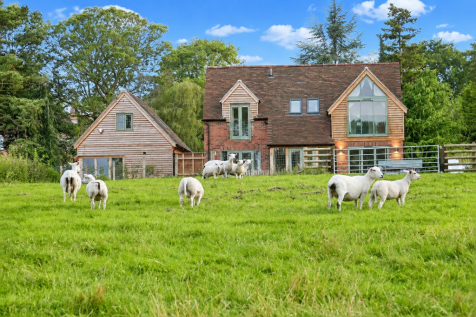 Property Image 44