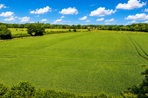 Countryside Views