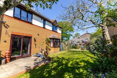 Property Image 42