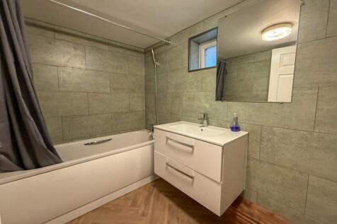 Basement Bathroom 2