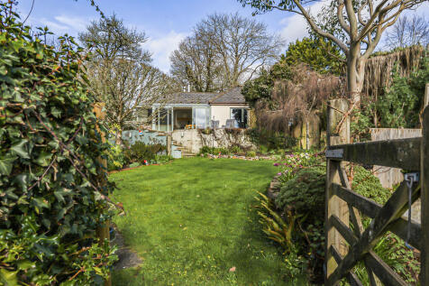 Garden (4)