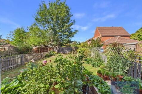 Back Garden