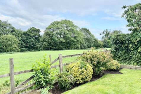 PHOTO-2025-07-15-10-12-26 4.jpg