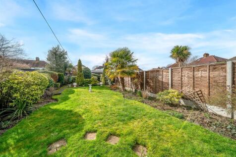 DSC05024.jpg