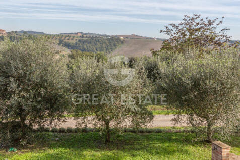 Panorama e Particolari