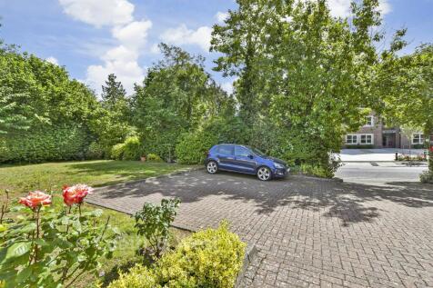 Driveway/Parking