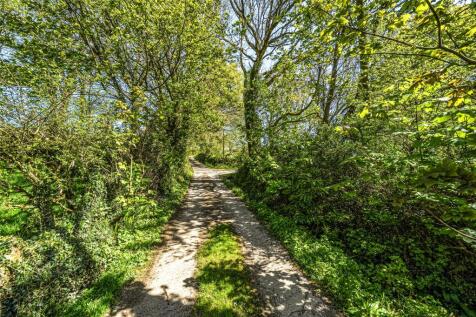 Picture No. 24