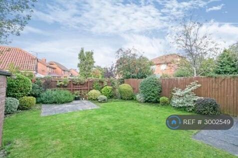 Back Garden