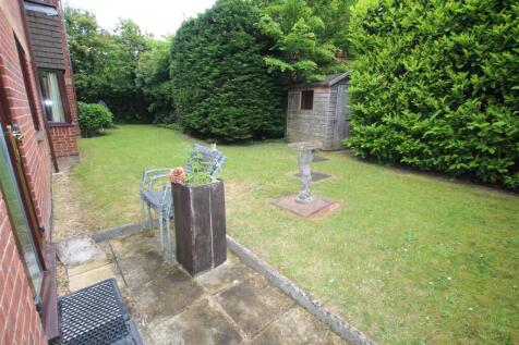 Patio Area