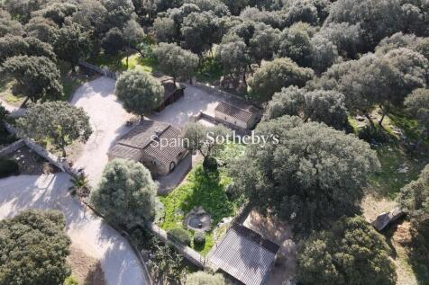 Property Image 39
