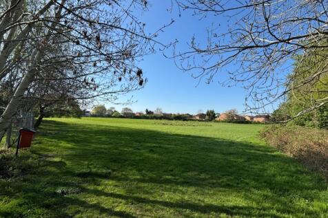 Field